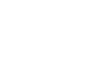 Briefcase Icon